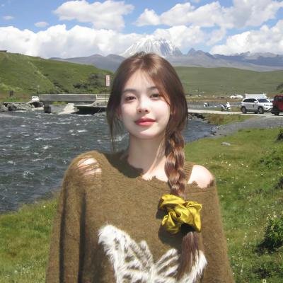 《罗伯特玩偶的复仇》海报